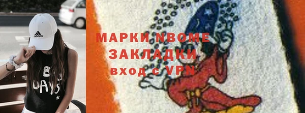 гидра Алексин