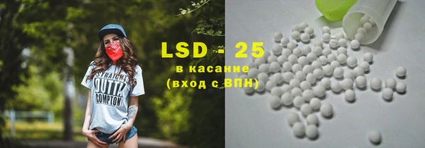 прущий лед Алзамай