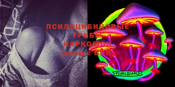 прущий лед Алзамай